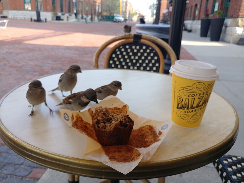 Balzac's Distillery District photo 2