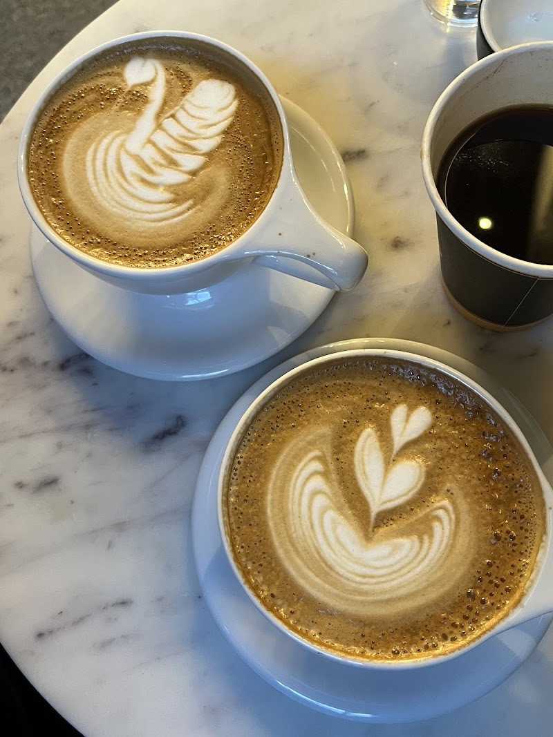 Black wolf coffee photo 3