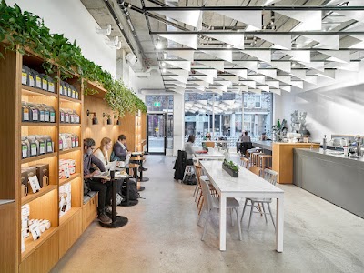 Pilot Coffee Roasters