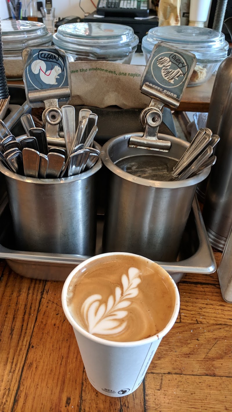 White Squirrel Coffee Shop photo 2