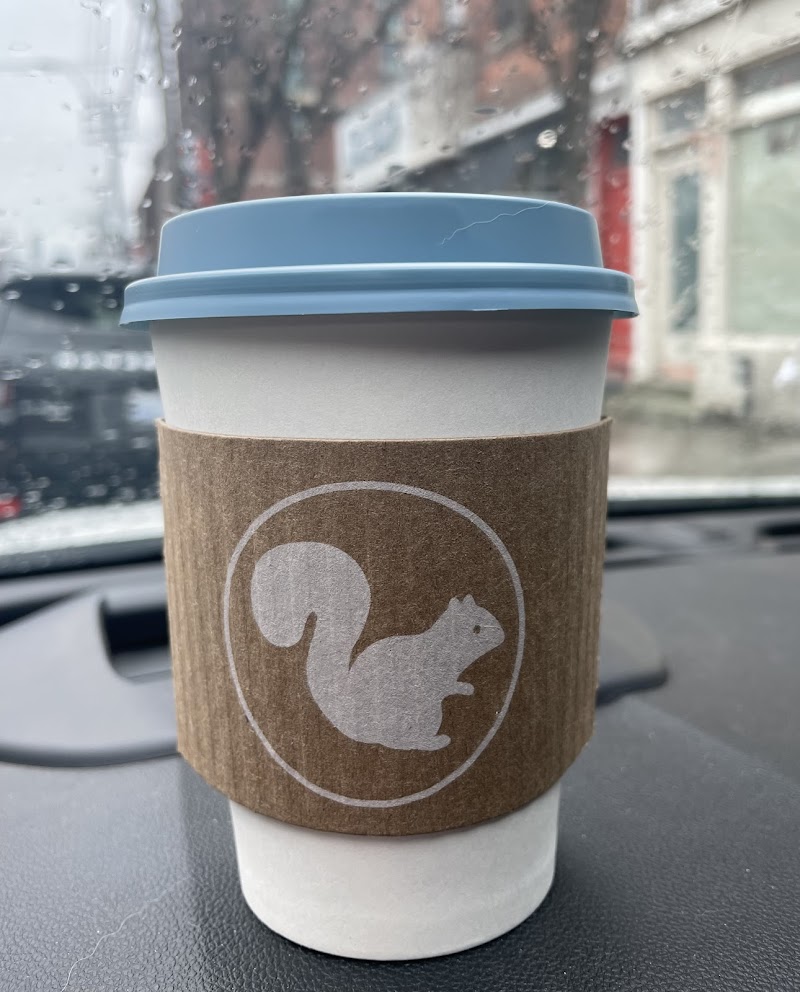 White Squirrel Coffee Shop photo 3