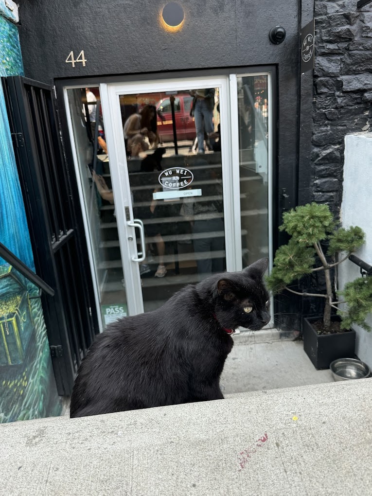 Wu Wei Coffee | 无为 photo 3